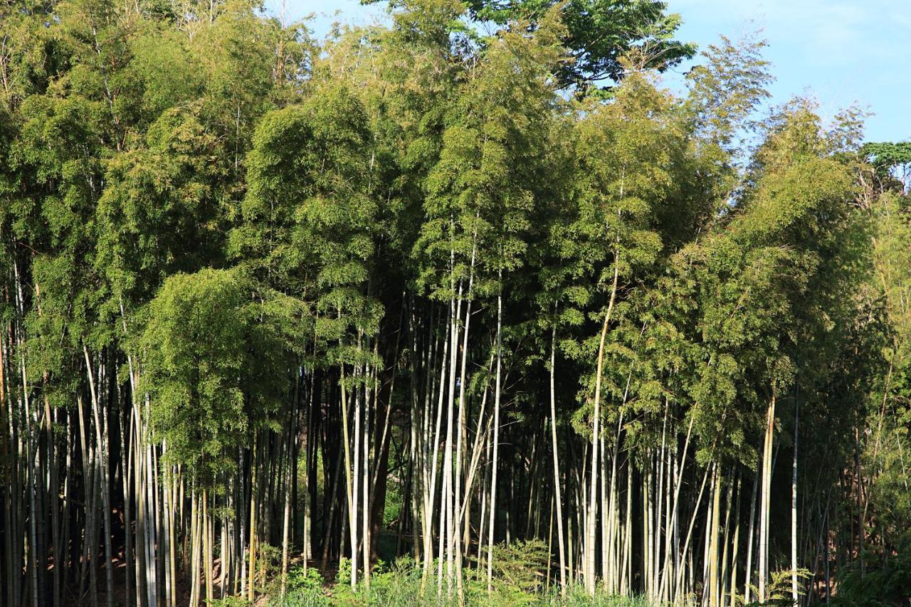 ささやかな宿富津 Hotel Bagian luar foto